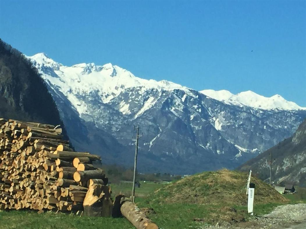 Bohinj Barn Lejlighed Eksteriør billede
